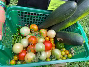 Jul 27, 2022 at 2_51 PM